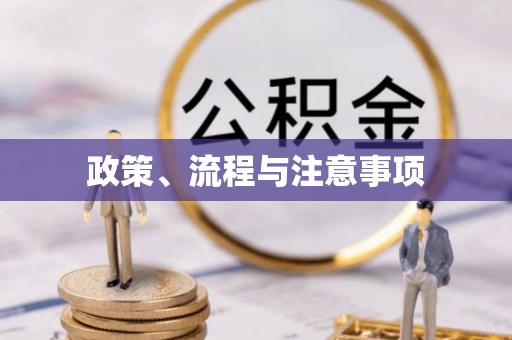 松江政策、流程与注意事项