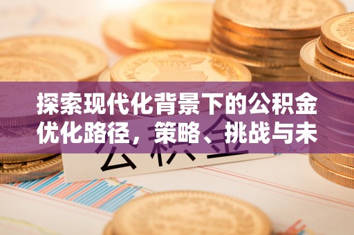 松江探索现代化背景下的公积金优化路径，策略、挑战与未来展望