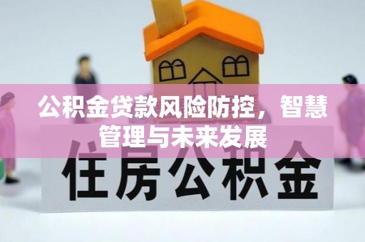 松江公积金贷款风险防控，智慧管理与未来发展