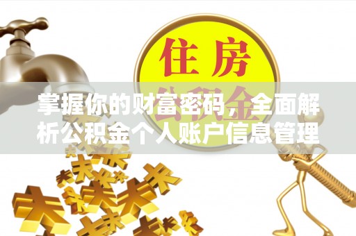 松江掌握你的财富密码，全面解析公积金个人账户信息管理与优化