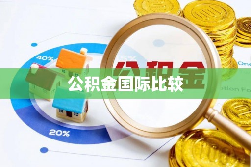 松江公积金国际比较