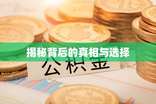 松江揭秘背后的真相与选择