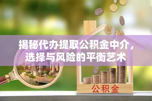 松江揭秘代办提取公积金中介，选择与风险的平衡艺术