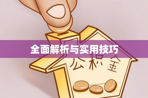 松江全面解析与实用技巧