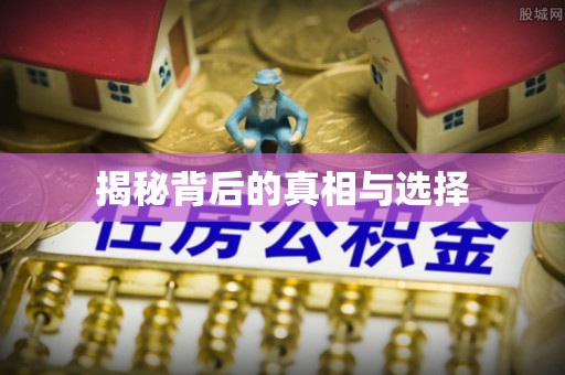 松江揭秘背后的真相与选择