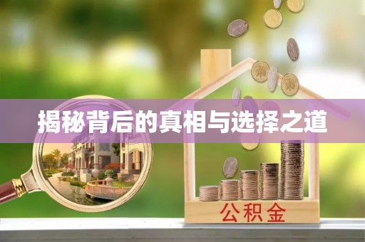 松江揭秘背后的真相与选择之道