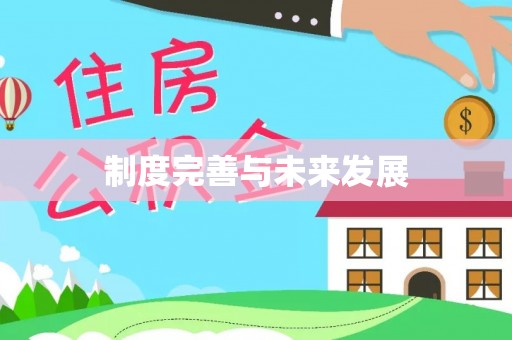 松江制度完善与未来发展