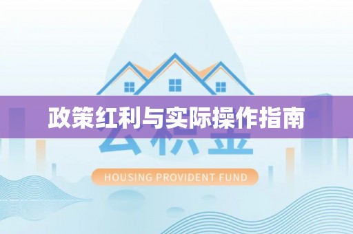 松江政策红利与实际操作指南