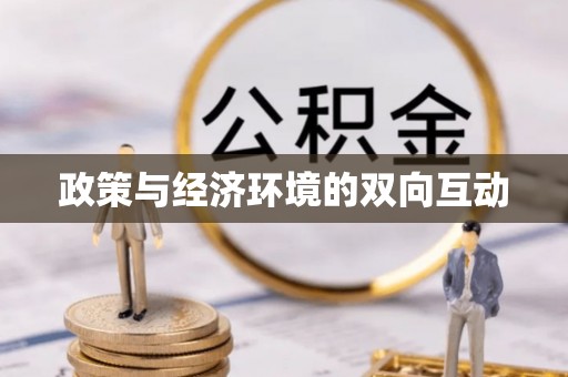 松江政策与经济环境的双向互动