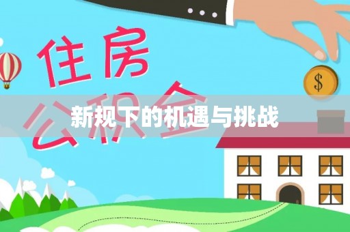 松江新规下的机遇与挑战